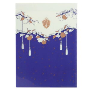 W|Pbg A4 NAt@C cCXe |tBI[ |Pbgt@C cCXebh_[h NbNX RNV G }V}|bv