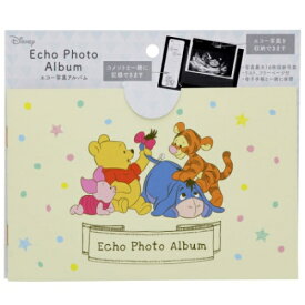楽天市場 エコー写真 アルバム ディズニーの通販