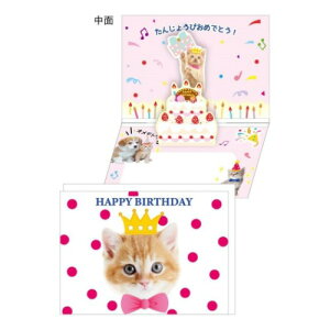 グリーティングカード お誕生日 ねこの人気商品 通販 価格比較 価格 Com
