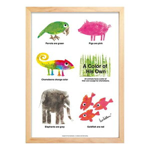 A[gt[ I I[j A[g|X^[ A Color of His Own Animals Leo Lionni H ZLL-61859 G{ Ǌ|p CeA i }V}|bv