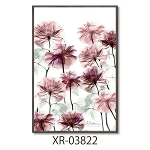 t[A[g Ao[gN[cB[ X RAYLoXA[g t[xbh STCY [p[ XR-03822 zt CeA i }V}|bv