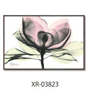 t[A[g Ao[gN[cB[ X RAYLoXA[g sN}OmA STCY [p[ XR-03823 zt CeA i }V}|bv