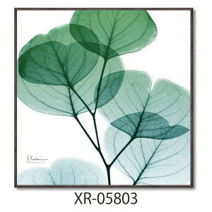 t[A[g Ao[gN[cB[ X RAYLoXA[g [JCg XNGAS [p[ XR-05803 zt CeA i }V}|bv