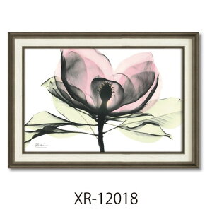 t[A[g Ao[gN[cB[ X RAYLoXA[g sN}OmA MTCY [p[ XR-12018 zt CeA i }V}|bv