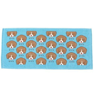 tFCX^I [h vgO^I с[  ^I v[g 킢 [։ }V}|bv