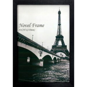 k[xt[ z Novel Frame A4 H |X^[t[ ؐ CeA i }V}|bv