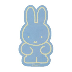 _CJbgV[ ~btB[ XebJ[ blue fBbNu[i Green Flash fR[V G{[։ }V}|bv