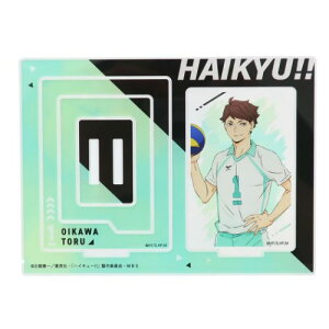 �A�N�����X�^���h �n�C�L���[ �t���[���A�N�����X�^���h �y��O ���N�W�����v �J�~�I�W���p�� �A�N�X�^ �R���N�V�����G�� �A�j�����[���։� �}�V���}���|�b�v