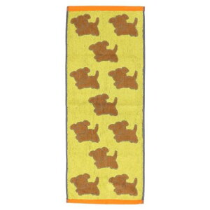 tFCX^I ~btB[ WK[h^I u[iXibtB[ fBbNu[i  v[g G{[։ }V}|bv