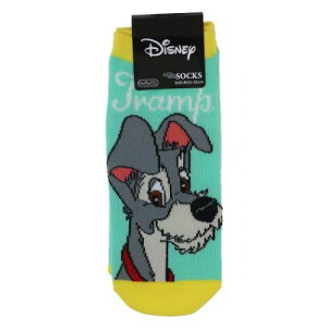 CfB[X 񕨌 LbNX gv fBYj[ X[vlbg l [։ }V}|bv