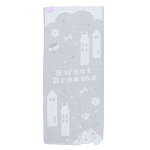 tFCX^I 101C񂿂 WK[h^I h[~[^E fBYj[  v[g [։ }V}|bv