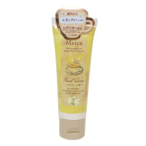 RXG nhN[ eB[̍ MEICA ϔ  Mtg }V}|bv