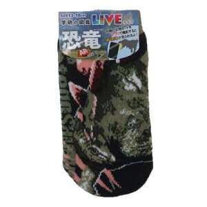 qpC w̐}LIVE  LbY\bNX XeSUEX WFCYvjO v[g j̎q ̎q [։ }V}|bv