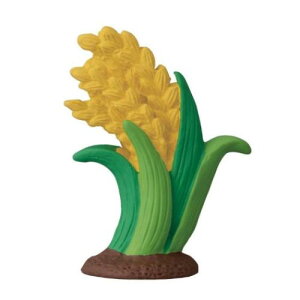 }XRbg VčՂ  concombre fR 킢 CeA [։ }V}|bv