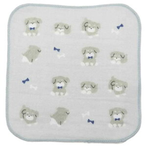 nh^I K[[~j~j^I 15cm ViEU[ Vw  ~gC @^I VwG [։ }V}|bv