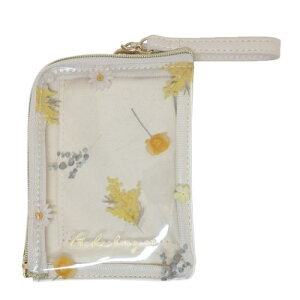 ���K���ꁕ������� �|�V�F�u�[�P ���[���t���f�C���[�|�[�` �C�G���[ �N�[���A �p�X�P�[�X �R�C���P�[�X IC�J�[�h�P�[�X �ʋ� �ʊw ���[���։� �}�V���}���|�b�v