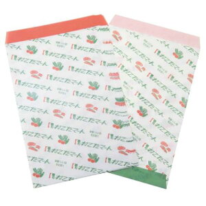 bsOpi  킯 10 ˂}[g Green Flash 킢 G [։ }V}|bv