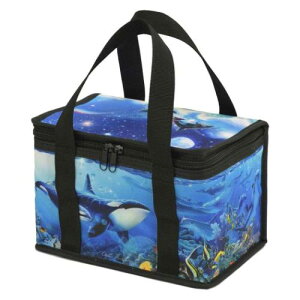 ۗobO NX` [X bZ N[[{bNX u[[h2 [p[ CL-02202 AEghAobO i }V}|bv