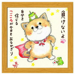 t[tA[g G`T[ Ȃ M邱 i`  Xy[XM[~ebh SA-228NA 20cmpz bZ[WA[g i }V}|bv