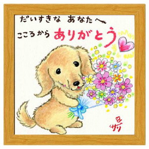 t[tA[g G`T[ 납炠肪Ƃ i`  Xy[XM[~ebh SA-235NA 20cmpz bZ[WA[g i }V}|bv