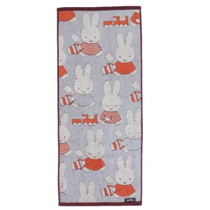 tFCX^I ~btB[ WK[hO^I ~btB[Ƃڂ fBbNu[i  VG G{[։ }V}|bv