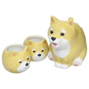 eB[Zbg Čeq̃eB[Zbg  TA[g v[g 킢 G H }V}|bv