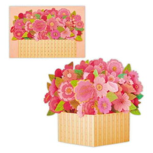 O[eBOJ[h aj ̃J[h WM{bNXsNt[ {z[}[N o[Xf[J[h bZ[WJ[h [։ }V}|bv