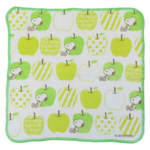 ӂ Xk[s[ fBbVNX APPLE s[ibc 吼 Lb`G [։ }V}|bv