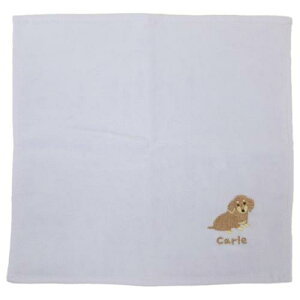 ~j^I Aj}hJ^InJ` J[  ~gC @^I 킢 [։ }V}|bv