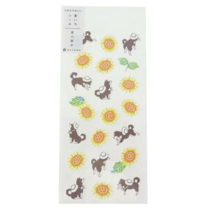 V[V[g C kenema ĂV[ Ă̎U ANeBuR[|[V fRV[ fR[V 킢 [։ }V}|bv