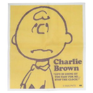 ӂ Xk[s[ ␶nӂ CHARLIE BROWN YE s[ibc 吼 Lb`pi z [։ }V}|bv