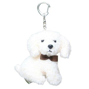 }XRbg Aj}ʂ݃L[`F[ } gCv[h  ~gC ~jʂ 킢 }V}|bv