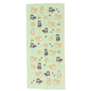 tFCX^I ЖʃK[[vgO^I R[^GR  ~gC V 킢 [։ }V}|bv