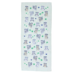 tFCX^I ЖʃK[[vgO^I [NtYMT  ~gC V 킢 [։ }V}|bv