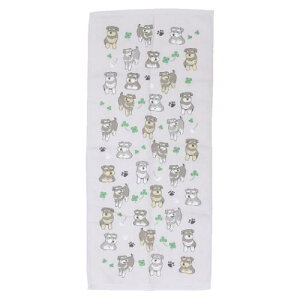 tFCX^I ЖʃK[[vgO^I [NtYLPL  ~gC V 킢 [։ }V}|bv