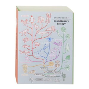 �t� STUDY HOLIC �X�e�B�b�L�[�u�b�N �i�������w Green Flash �V�w���������� �����p�i �w�� �w�� ���[���։� �}�V���}���|�b�v