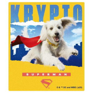 _CJbgV[ SUPERMAN X[p[} ~jXebJ[ C DCR~bN CbN RNVG f惁[։ }V}|bv