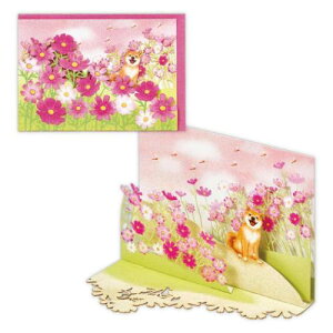 O[eBOJ[h ̃J[h RXXƎČ2 {z[}[N H I[^ bZ[WJ[h [։ }V}|bv