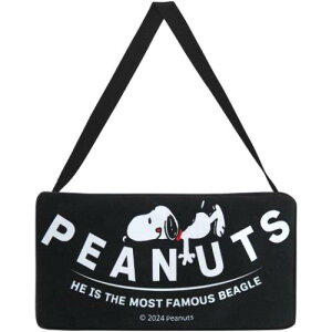 eBbVJo[ Xk[s[ eBbVP[X ubN s[ibc O MEIHO J[pi [։ }V}|bv