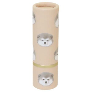 RXG mofutt tbg bvN[ 炷܂݂[ N[A v[g 킢 [։ }V}|bv