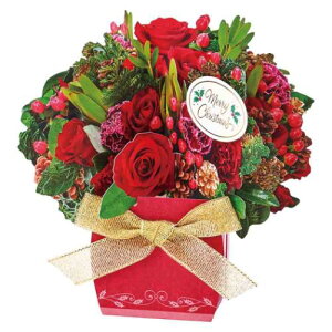 O[eBOJ[h CHRISTMAS NX}XJ[h JX 28-5 t[AWg TI v[g bZ[WJ[h [։ }V}|bv