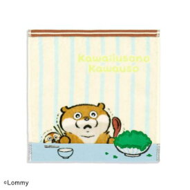 【ポイント10倍 & クーポン！】ミニタオル 可愛い嘘のカワウソ タオルハンカチ ぬんぬんふえるわかめ タオル美術館 プレゼント かわいい メール便可 マシュマロポップ