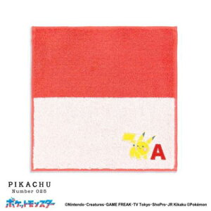 ~j^I |PbgX^[ ttB[Rbg ^InJ` Al[ sJ`E A |P ^Ip v[g 킢 CjV [։ }V}|bv