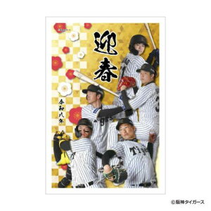 N _^CK[X N͂ 3 02 IA\[g}t v싅 t^o NnKL |XgJ[h NJ[h [։ }V}|bv