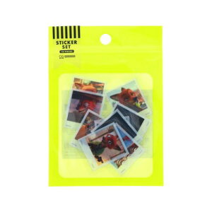 _CJbgV[ Y[gsA2 XebJ[Zbg 10 jbN fBYj[ TX^[ RNVG [։ }V}|bv