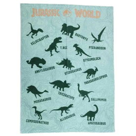 キッズタオルケット ジュラシックワールド お昼寝ケット ダイナソーマップ 恐竜 丸眞 子供用夏用寝具 ビッグタオル 映画 マシュマロポップ
