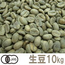 コーヒー生豆 メキシコ オーガニック(有機栽培）10kg （三本珈琲 三本コーヒー）※沖縄県は別途送料がかかります