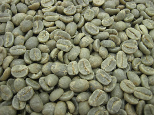上質 コーヒー生豆コロンビア スプレモ 1kg メーカー再生品