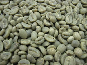 R[q[ O@e} SHB 5kg iO{ O{R[q[jKe} ꌧ͕ʓr܂yz