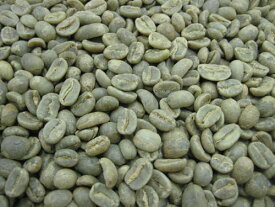 【送料無料】コーヒー生豆 コロンビア エクセルソ 5kg※沖縄県は別途送料がかかります【三本珈琲 三本コーヒー】【】